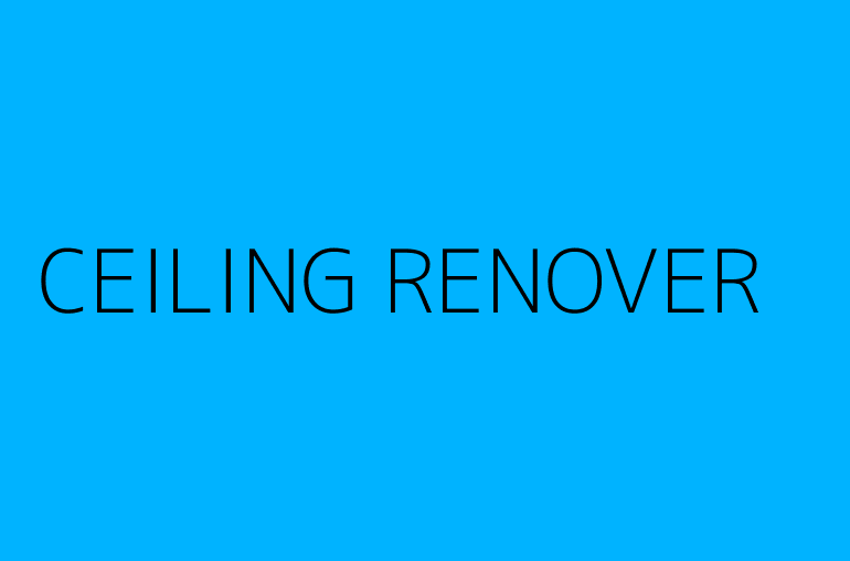 CEILING RENOVER